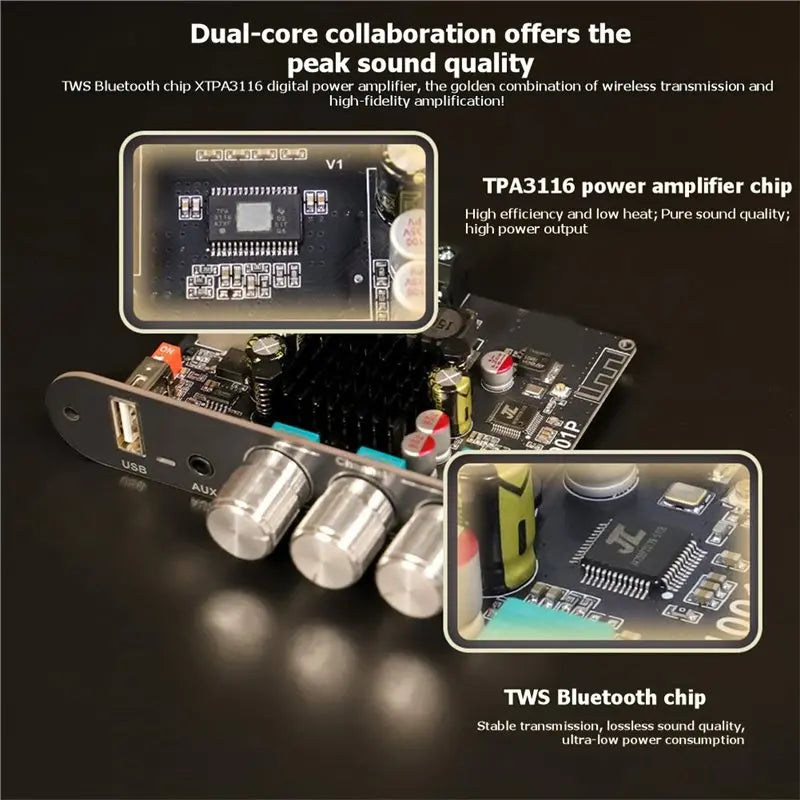 ABGI-T1001P Audio Player Mono 100W Bluetooth Lossless Sound Quality Stereo TWS Pairing Audio Amplifier