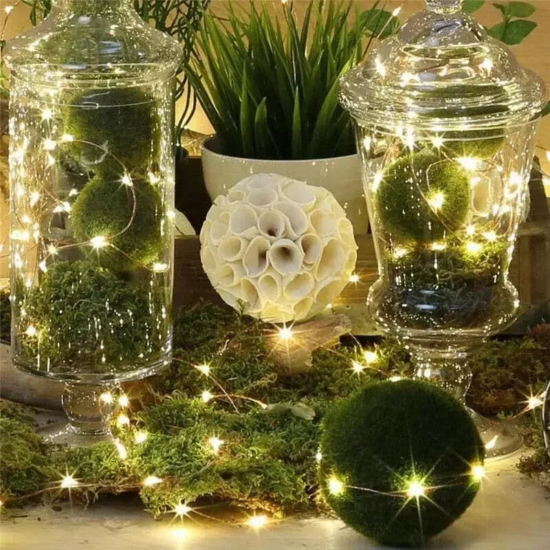 LED Fairy Silver Wire String Light Battery Box with 8 Mode Remote Control Wedding Christmas Garland Lamp Home Bedroom Decoration
