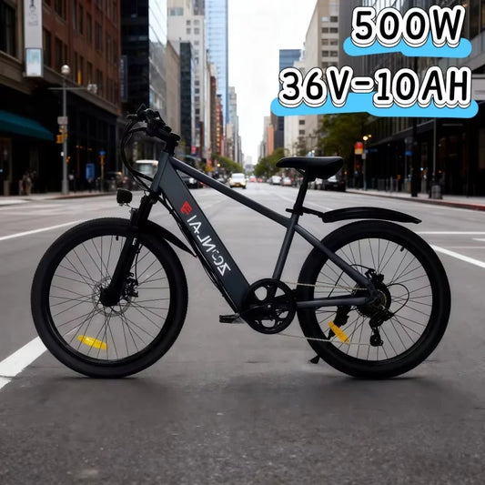 500W motor electric bicycle 36V10AH battery high-looking electric bike,green and environmentally friendly with various functions